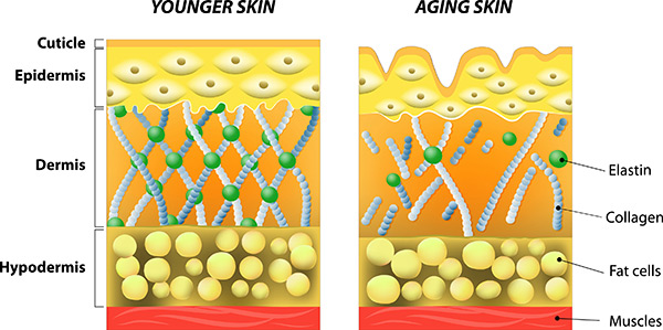 skin-rejuvenation-small.jpg